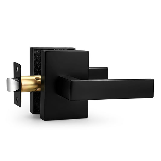 Heavy Duty Door Handles Long Plate Matte Black Finish, Privacy/Passage Function, DL38401BK