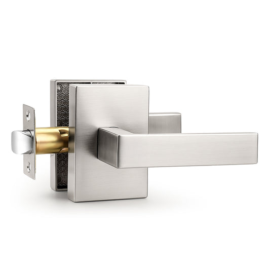 Heavy Duty Door Handles Long Plate Brushed Nickel Finish, Privacy/Passage Function, DL38401SN