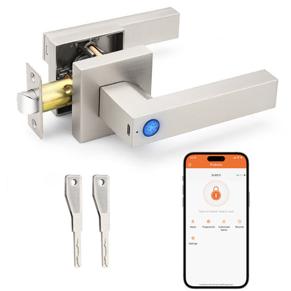Probrico Satin Nickel Smart Lock Keyless Entry Door Lock with Handle Fingerprint Door Lock for Bedroom Bathroom
