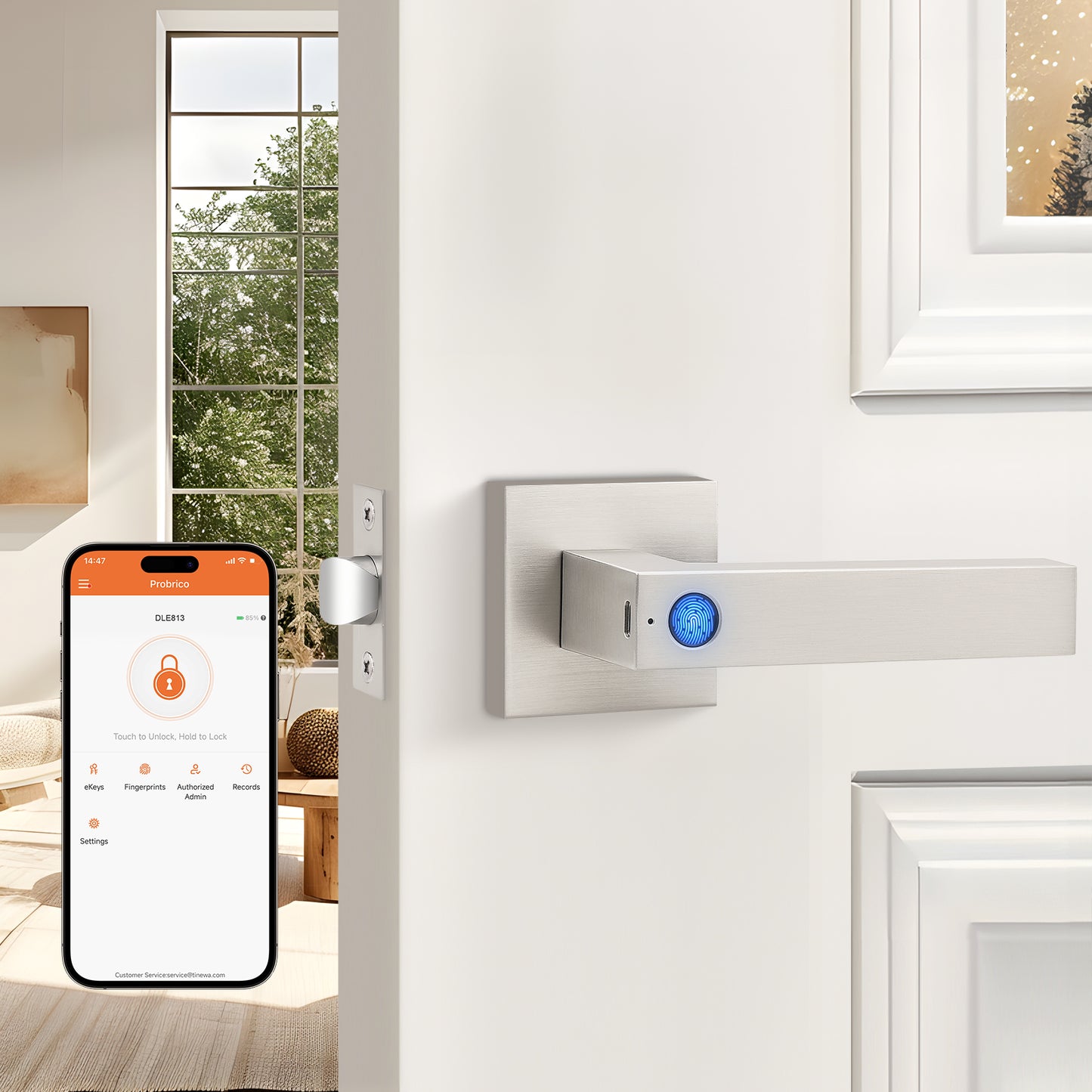 Probrico Satin Nickel Smart Lock Keyless Entry Door Lock with Handle Fingerprint Door Lock for Bedroom Bathroom