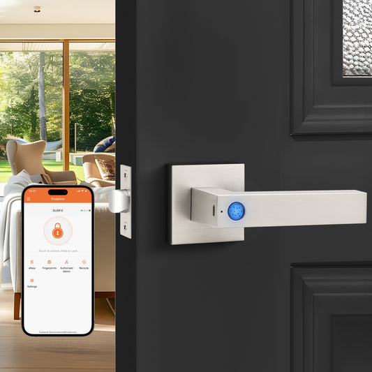 Probrico Satin Nickel Smart Lock Keyless Entry Door Lock with Handle Fingerprint Door Lock for Bedroom Bathroom