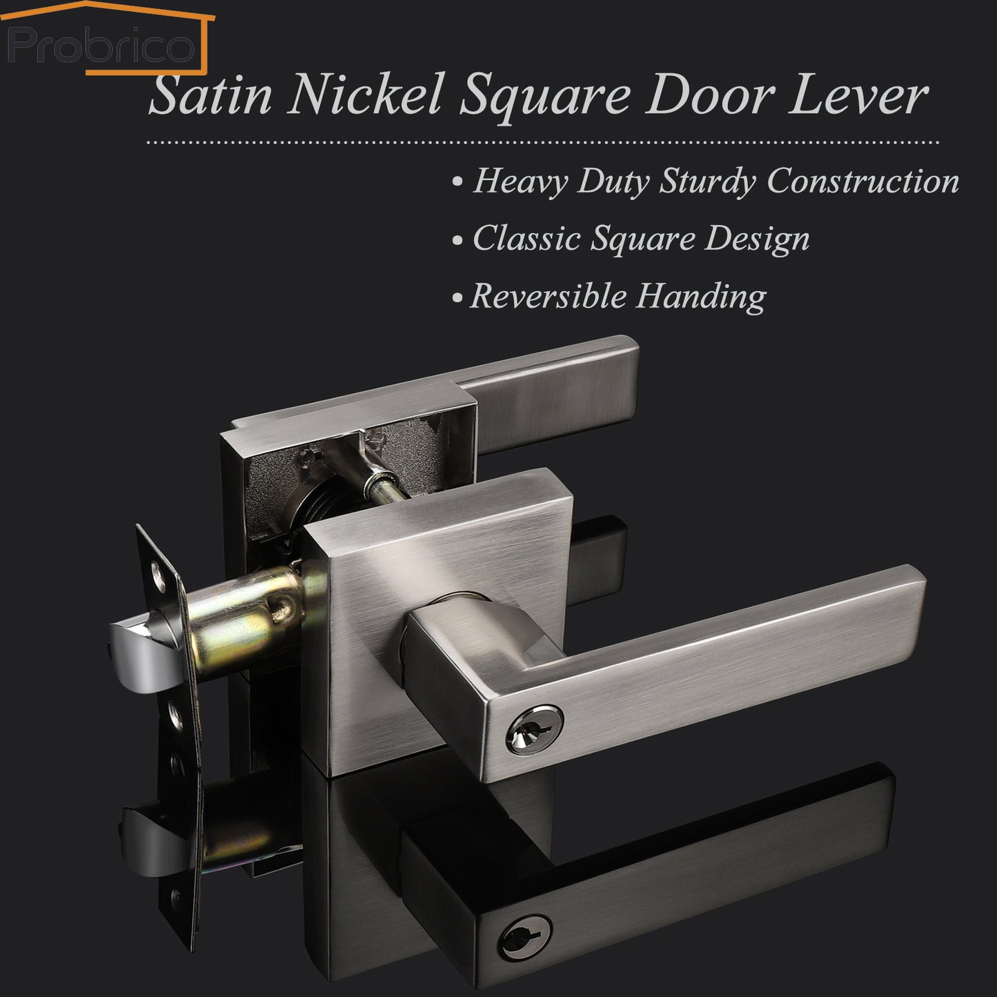 Interior Keyed Entry Door Lock Lever set, Brushed Nickel Door Handle DL01SNET - Probrico