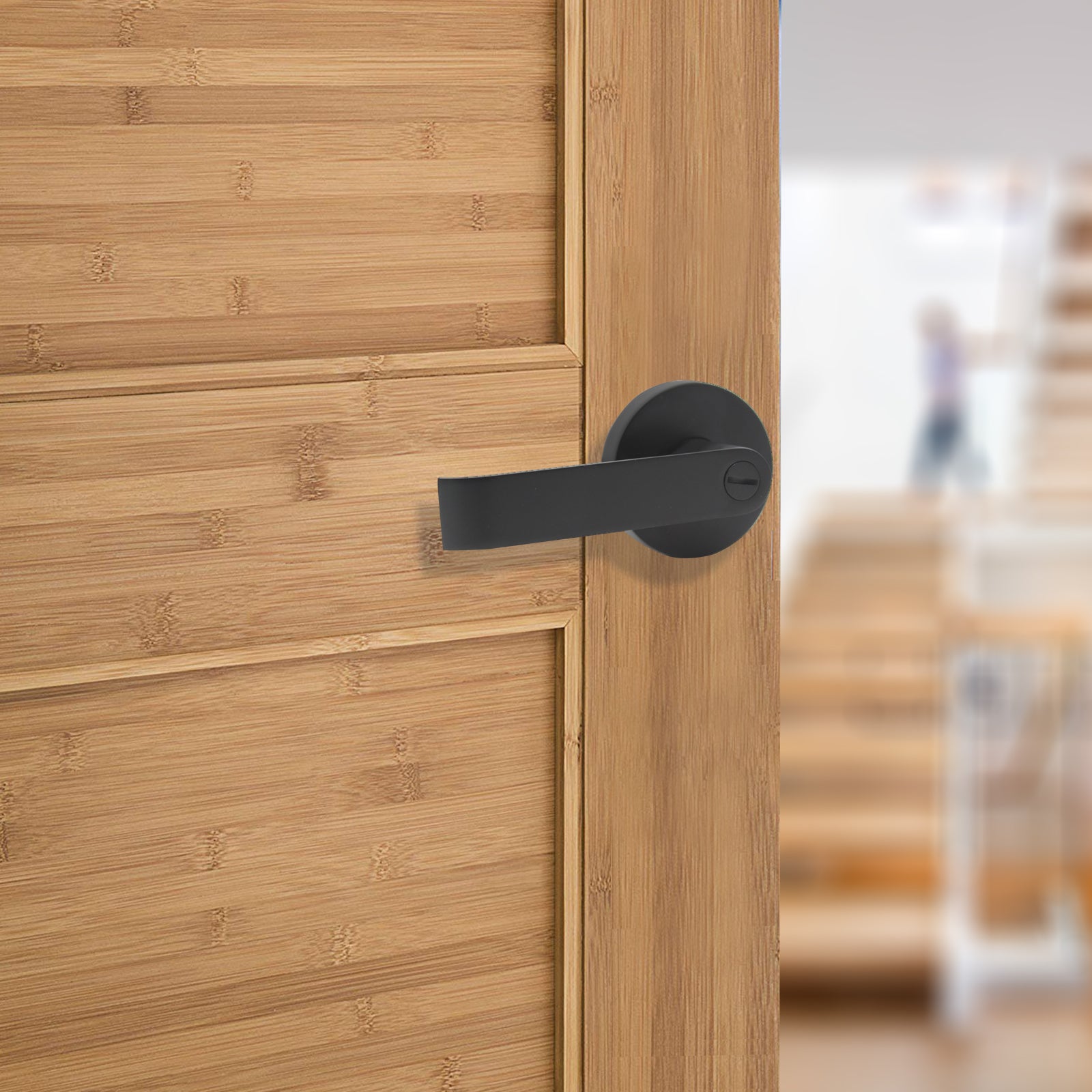 Black Finish Privacy Door Lever Lock with Round Rosette - Probrico