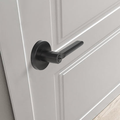 Heavy Duty Door Lock in Black Finish, Straight Lever Style Door Lever Privacy Door Handle DL1637BKBK - Probrico