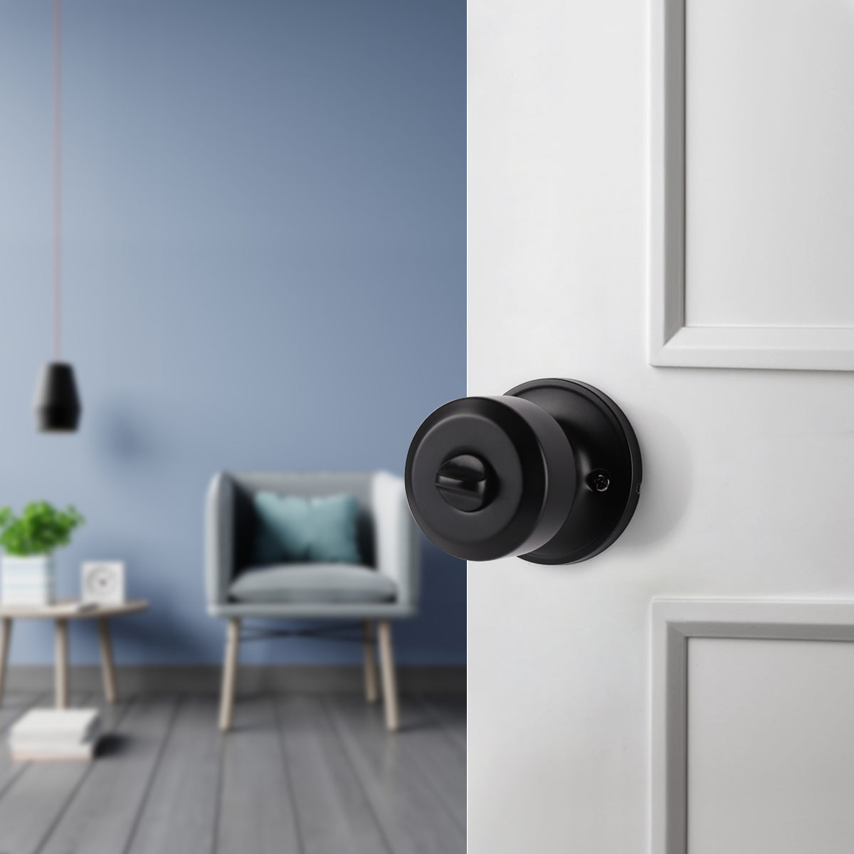 Interior Entry Door Lock Knobs, Keyed Alike Lock set with Same Key DL610