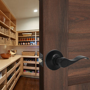 Closet, Hall and Passage Door Lever, Black Passage Door Handles - Probrico